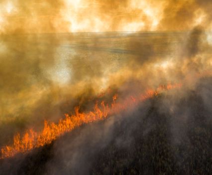 A sugar cane field burns before it is harvested in Okeelanta, Florida, on Jan. 29, 2021.