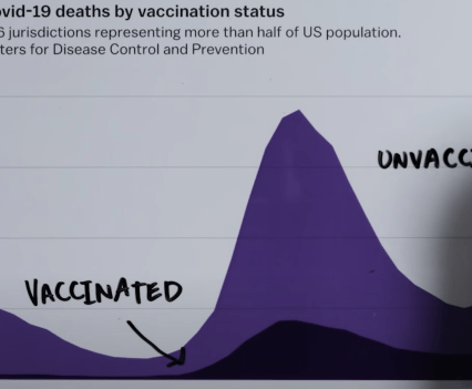 Weekly Covid-19 deaths by vaccination status chart