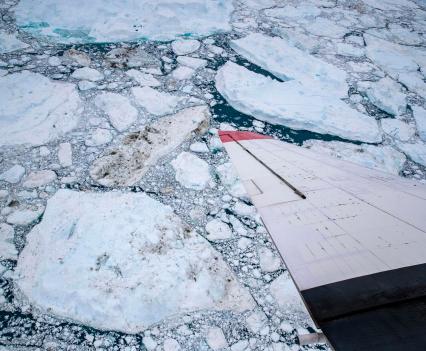 A 1942-era DC-3, carrying NASA scientists studying water temperature and salinity, flies over the Ilulissat glacier on Aug. 14, 2021.