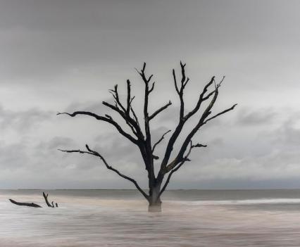 In the South Carolina Lowcountry, the tide washes over trees at Botany Bay Plantation Heritage Preserve September 9, 2021. Archaeologists are racing to study nearby shell rings threatened by rising seas.