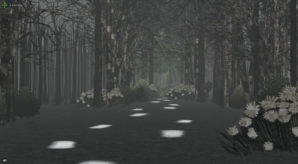 A lighted path through a forest