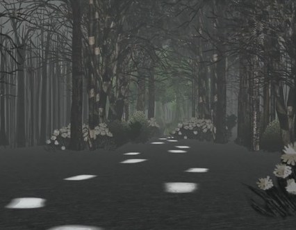 A lighted path through a forest