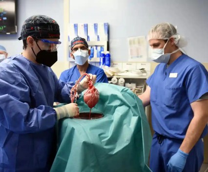 Surgeon Muhammad M Mohiuddin leads a team placing a genetically-modified pig heart into a storage device at the Xenotransplant lab before its transplant on David Bennett, on 7 January. Photograph: UMSOM/Reuters
