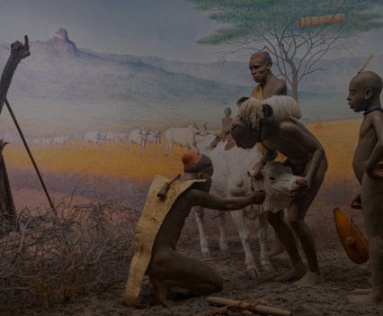 In the American Museum of Natural History in New York, a depiction of the Pokot people in Kenya’s Rift Valley in the Hall of African Peoples, originally opened in 1968 as the “Hall of Man in Africa.” Visual: Kris Graves