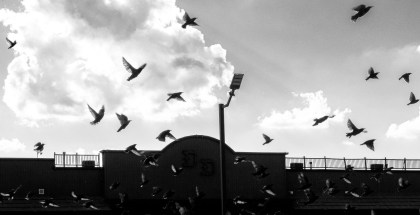 Birds fly across the view of the strip club next door to the Inn in Oklahoma City, Okla.