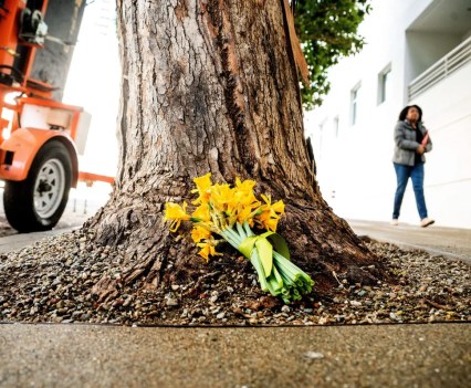 A pedestrian passes memorial flowers left on Main Street where former Square CTO Bob Lee was stabbed on Tuesday in San Francisco. | Noah Berger/The Standard