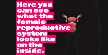 Explore the female reproductive system through interactive 3D mockups.