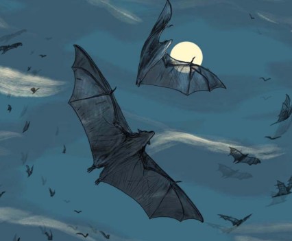 Illustration of bats flying at night in front of the moon.