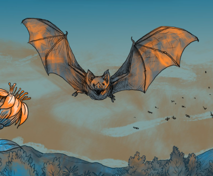 Illustration of bat flying in the sky.