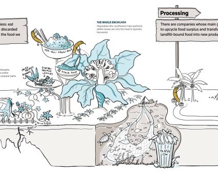 Color illustration of the ways can rescue food along each stage of the production chain