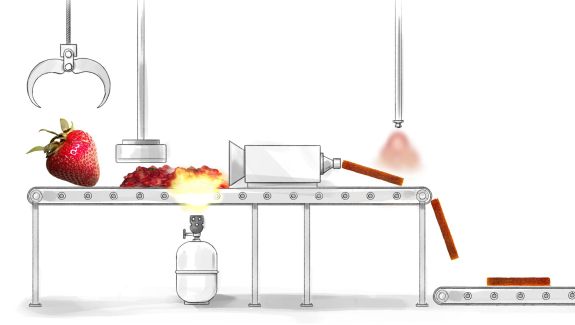 Graphic demonstrating industrial processing changes and its impact on the structure of food