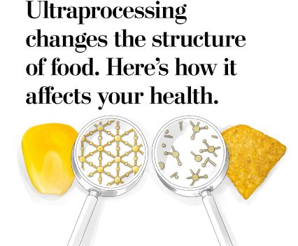 Two graphics side by side of a pice of corn and a corn chip, both under magnifying glasses, showing the difference between an intact food matrix and a broken food matrix