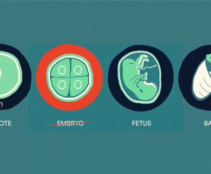 Graphic of gene editing process