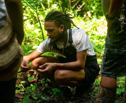 Man in the woods appearing to forage