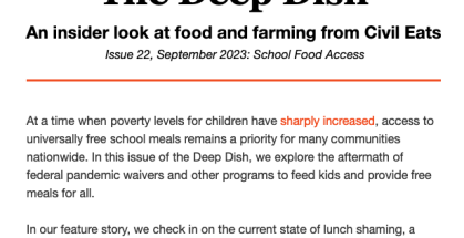 Screenshot of "The Deep Dish" article