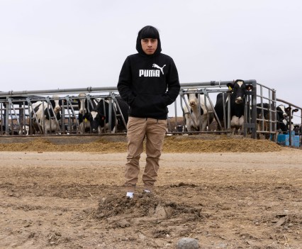 Photo of a young man in a black sweatshirt in front of cows