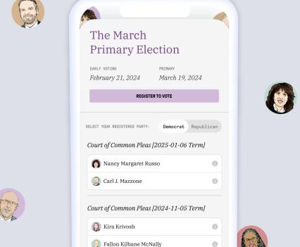 Screenshot from a news article showing details for the March 2024 Primary Elections